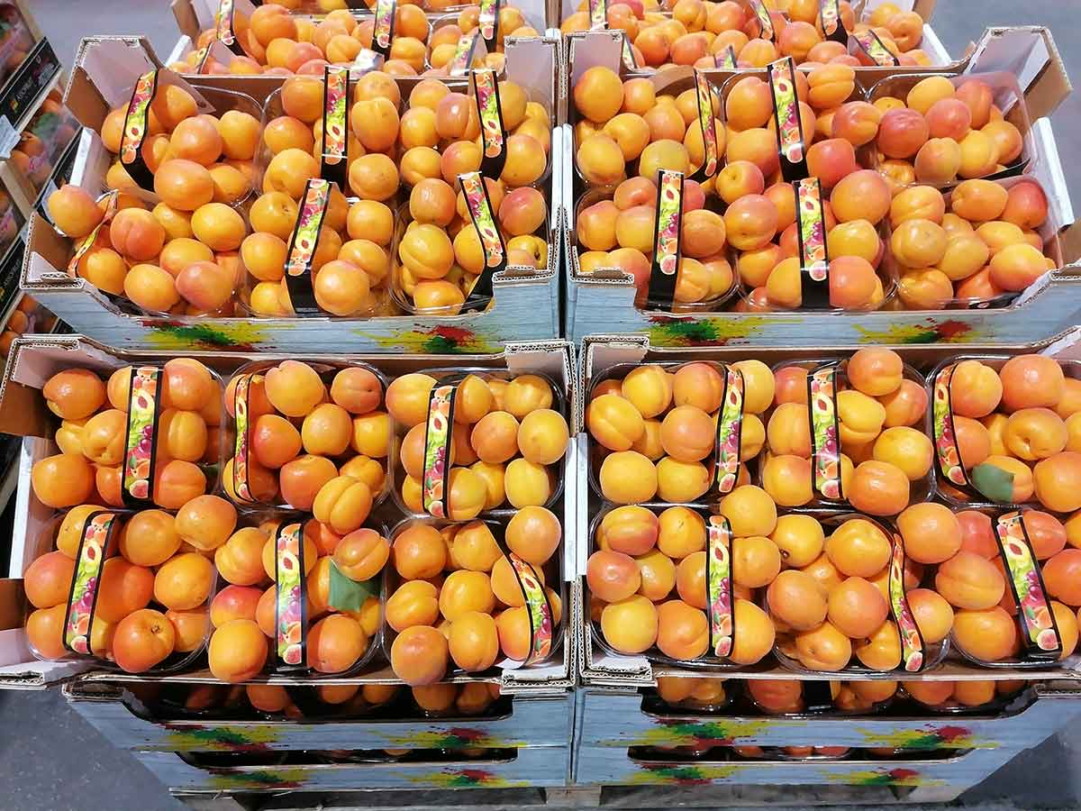 Albicocche Origine Italia cal.45+ prezzo 3-3,50 €/Kg